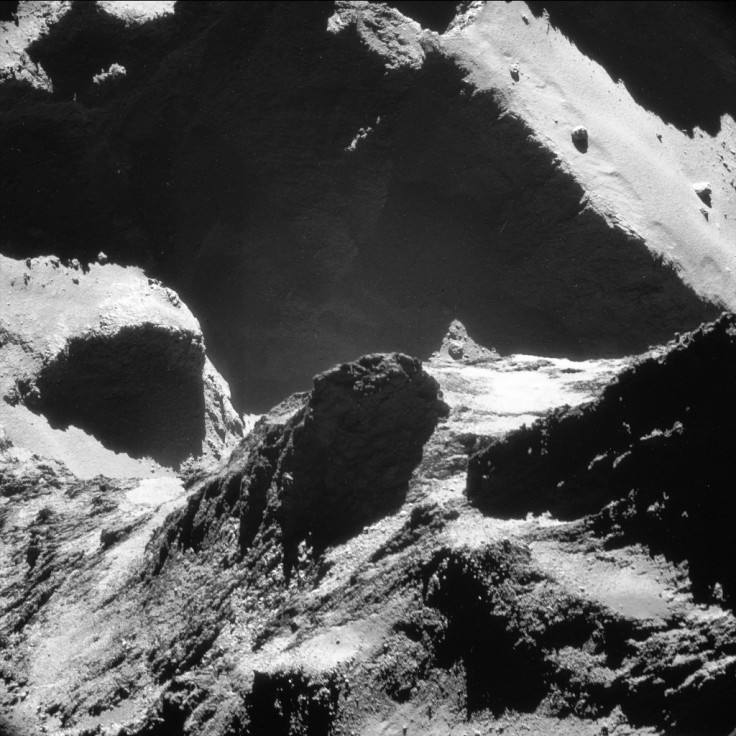 ROSETTA1