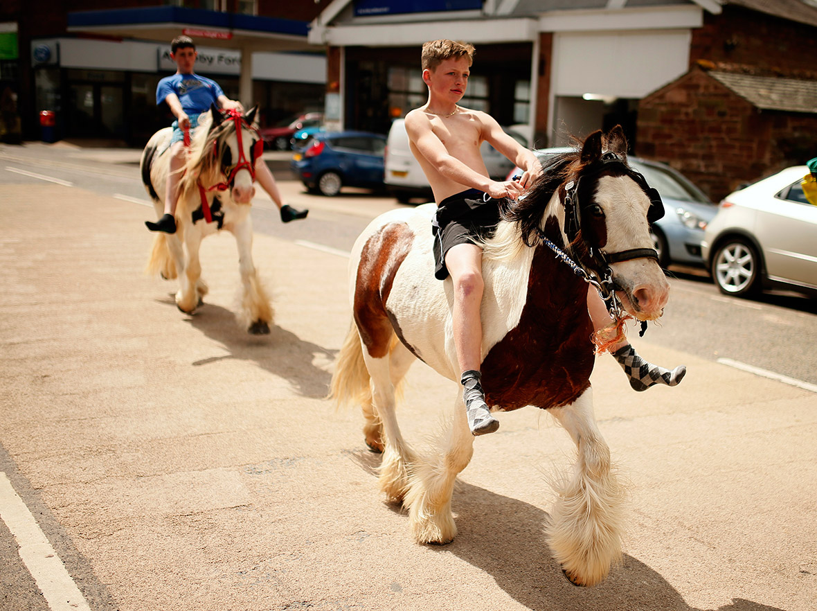 appleby horse fair