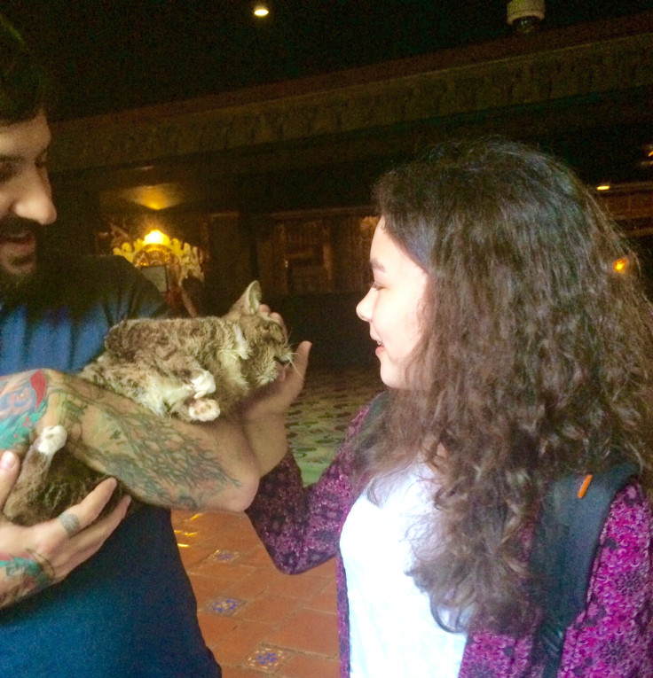 CatConLA Eleanor from Liverpool meets Lil BUB