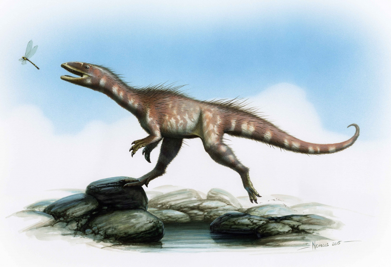 Tyrannosaurus Jones? New type of dinosaur closely related ...