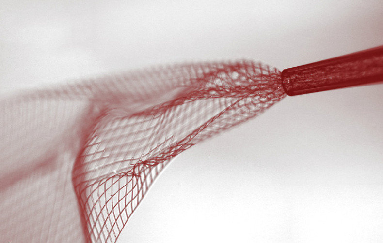 An electronic mesh that integrates with brains