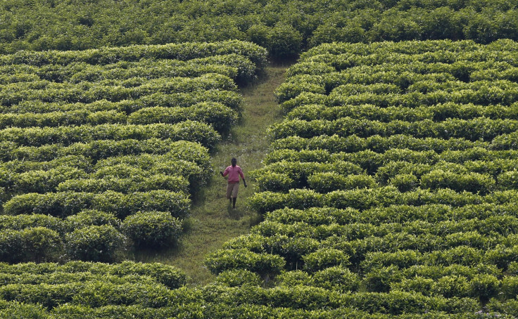 Burundi economic