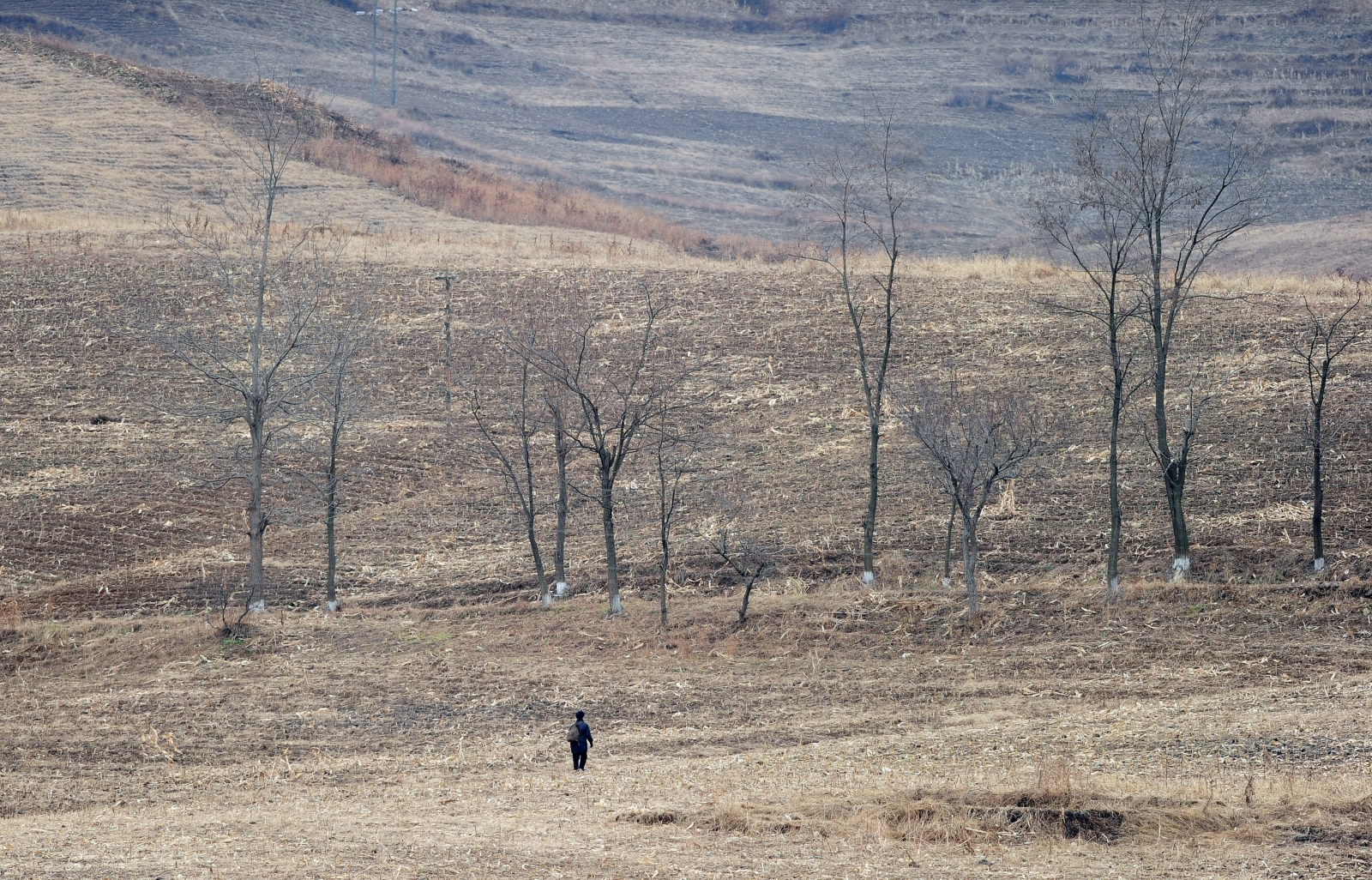 A North Korean woman walks