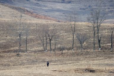 A North Korean woman walks