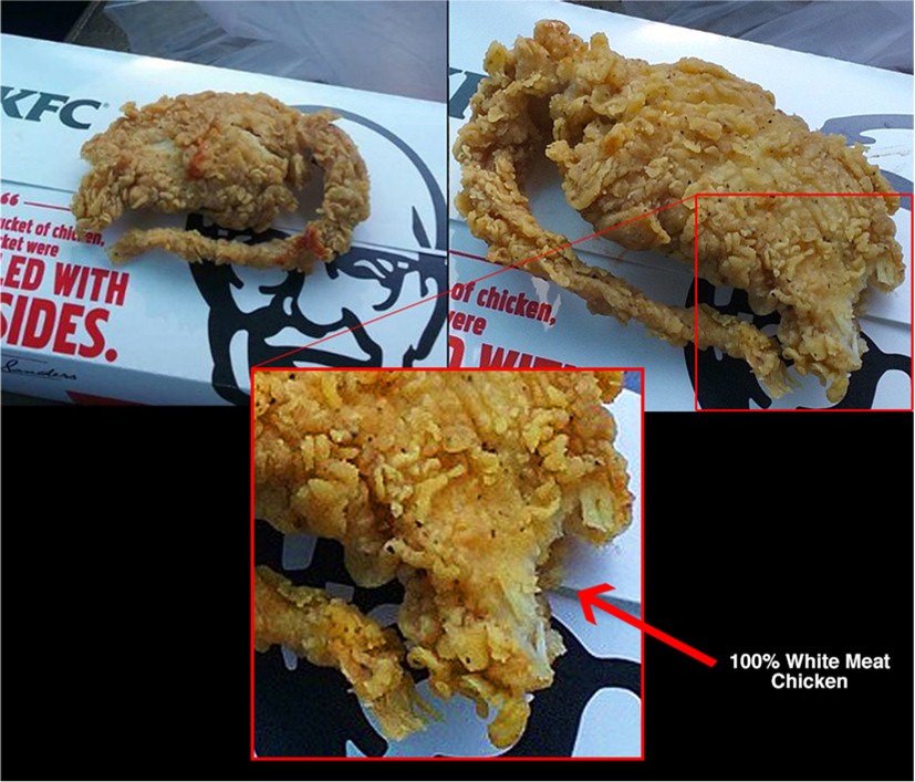 Deep Fried Rat Dna Test Proves Kfc Meal Was Chicken Not Rodent