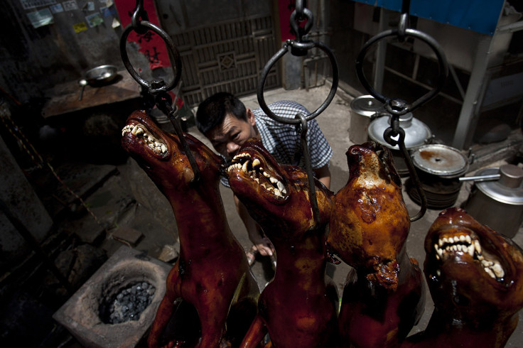 dog meat festival china