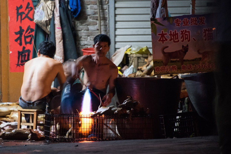 dog meat festival china