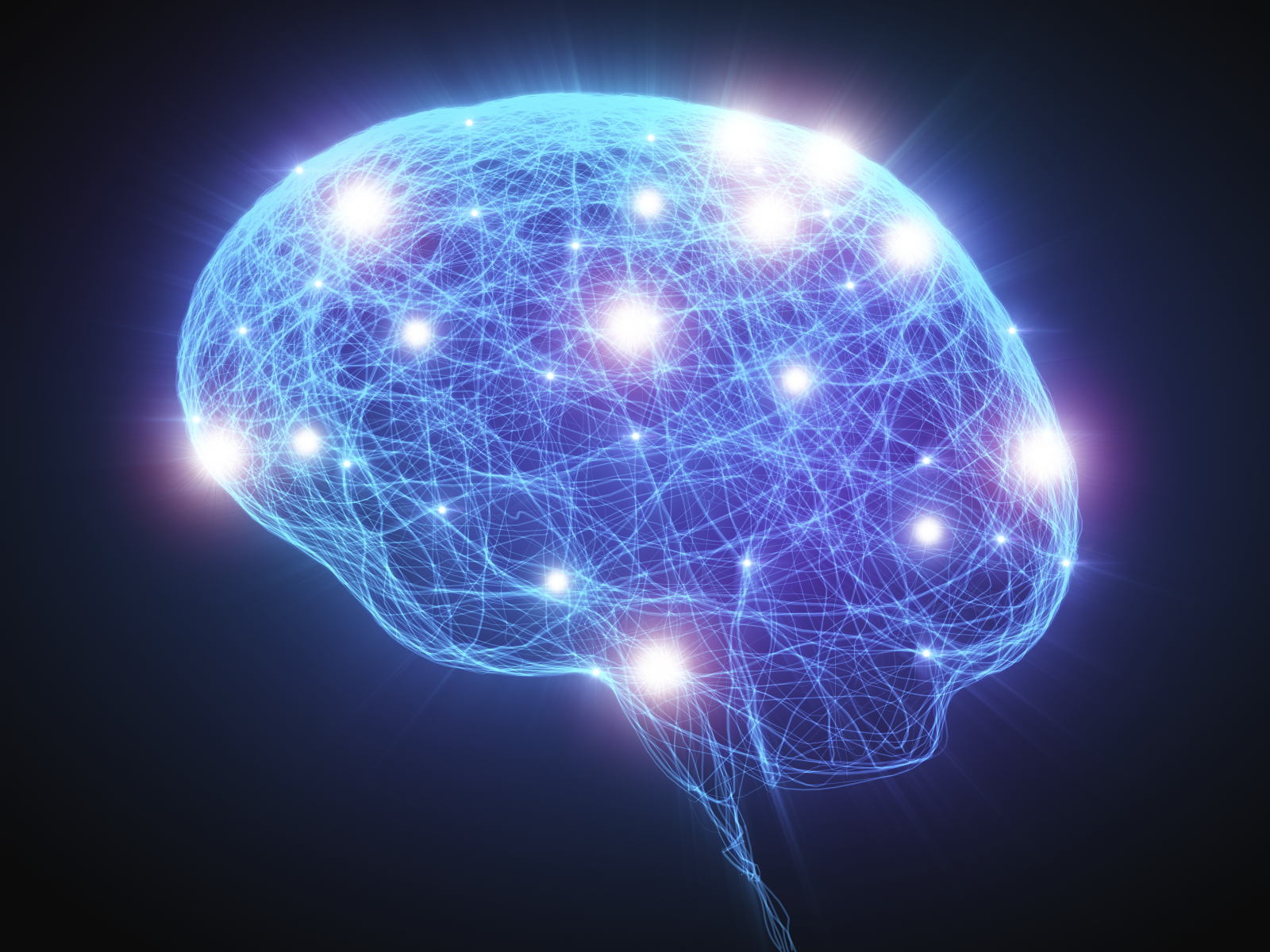 human brain mapping immpact factor