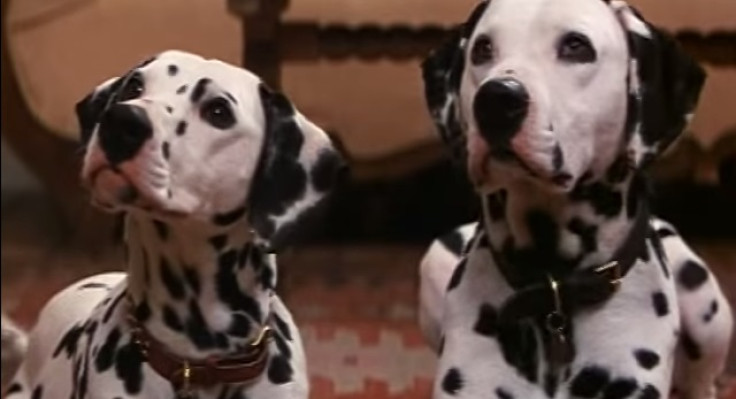 Live-action 101 Dalmatians