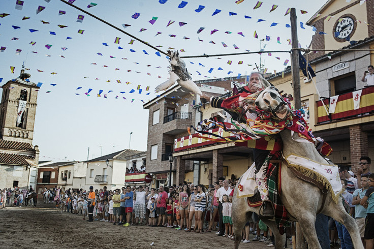 Santa Fiesta