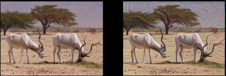 Psychedelic images generated by Google's neural network