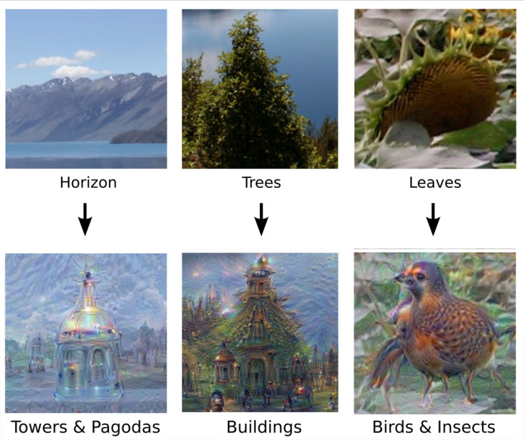 Psychedelic images generated by Google's neural network