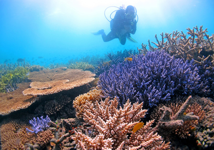 great barrier reef