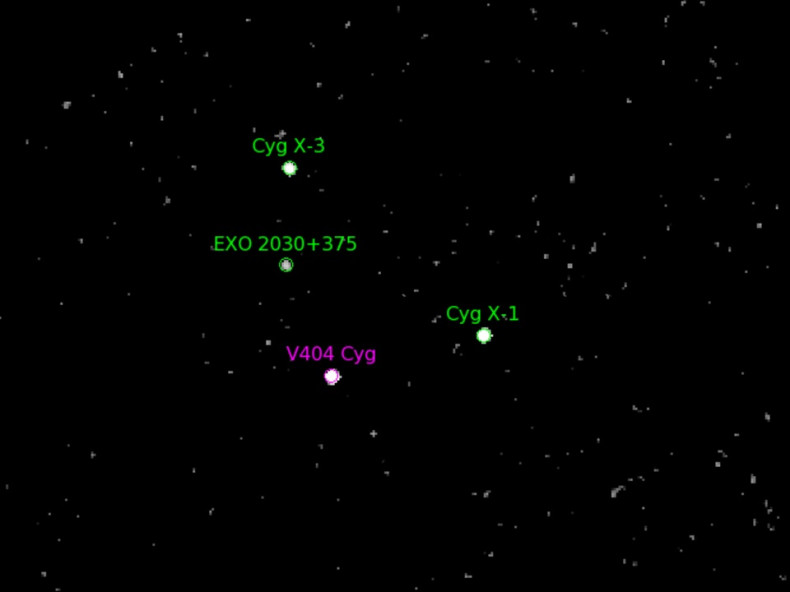V404 Cygni system