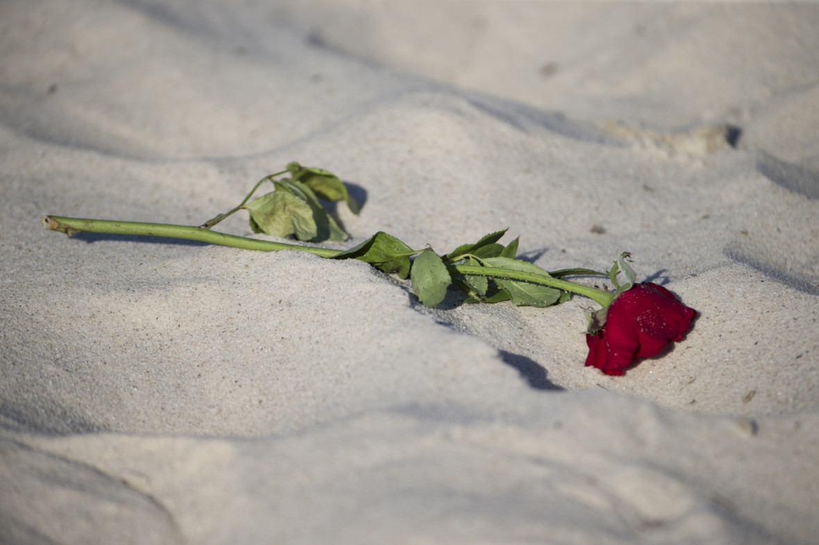 A rose lies on the A rose lies on the