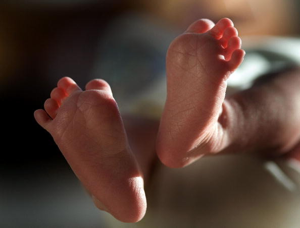 Newborn