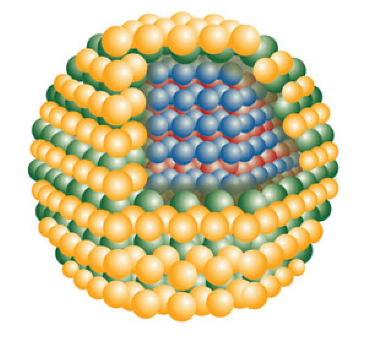 quantum dot