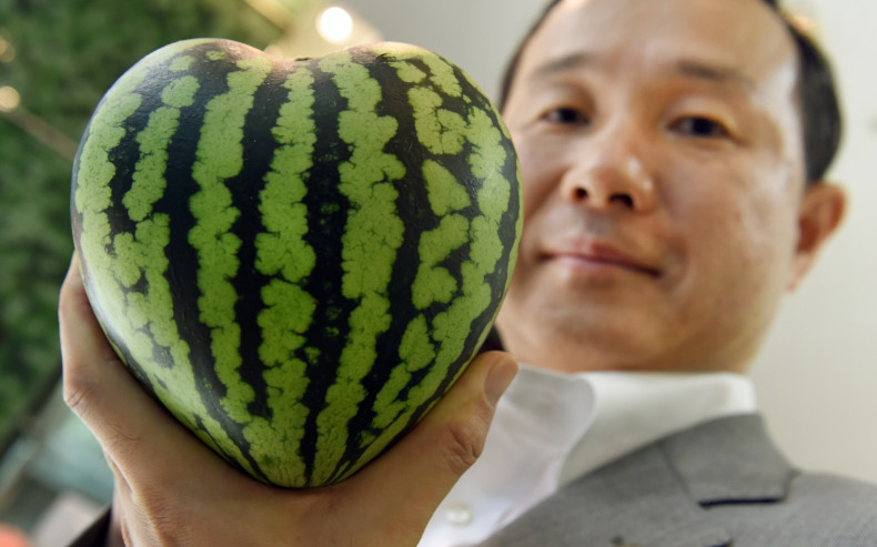japanese melon