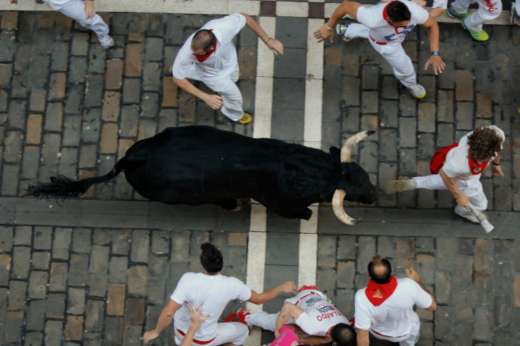 running of the bulls