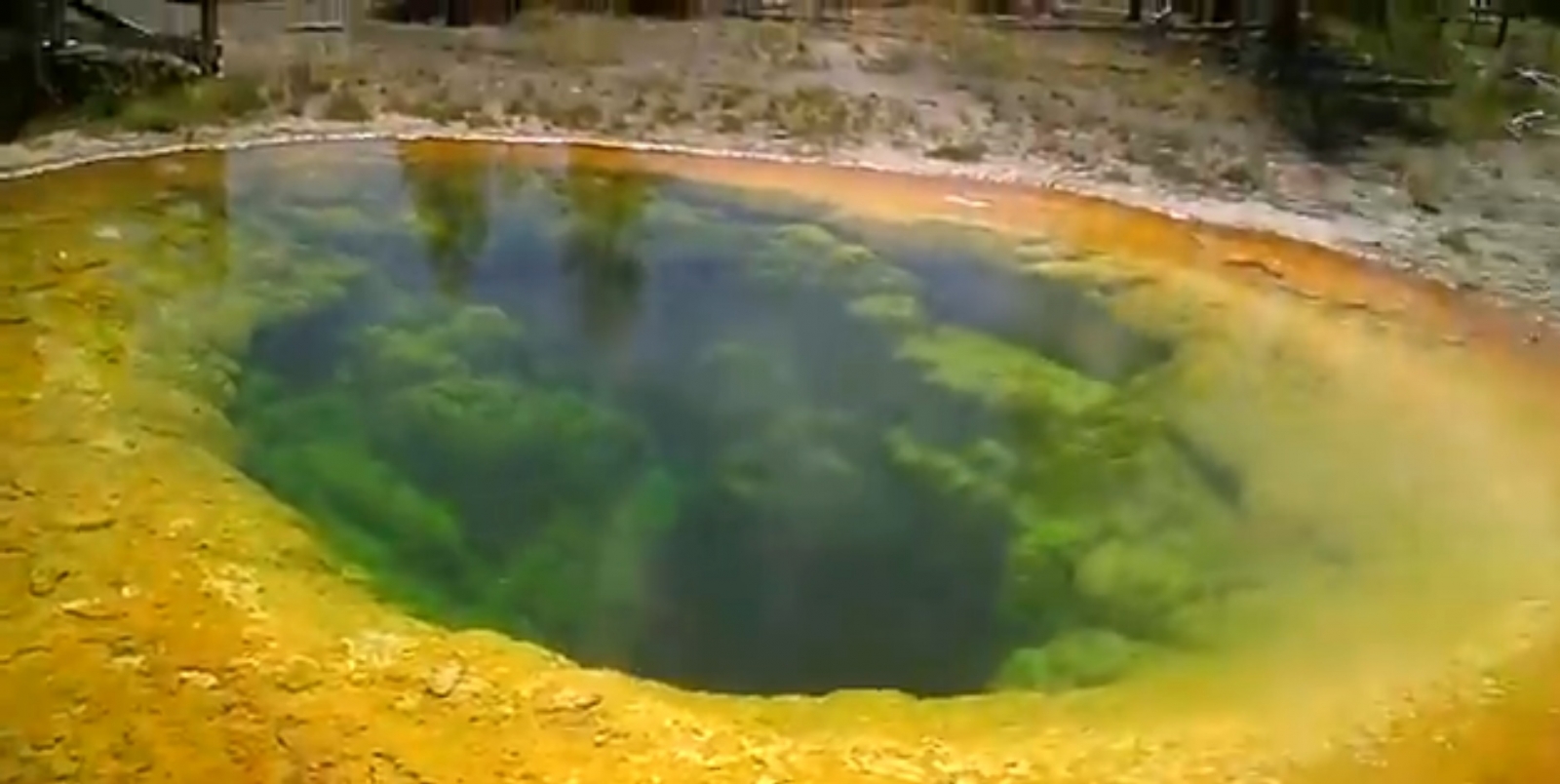 Yellowstone Becomes Greenstone: Tourism Blamed For Famous Hot Spring's ...