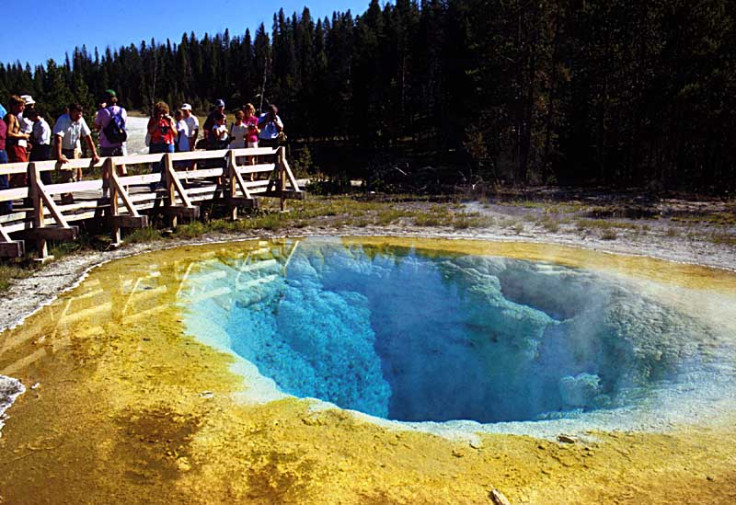 Yellowstone geyser Morning Glory