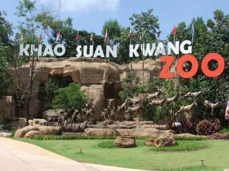 Kao Suan Kwang Zoo