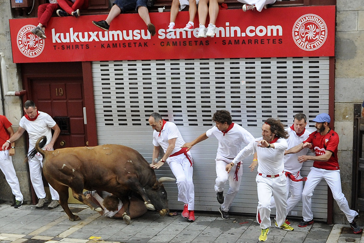 pamplona running bulls san fermin