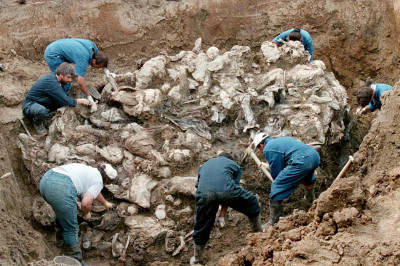 srebrenica massacre