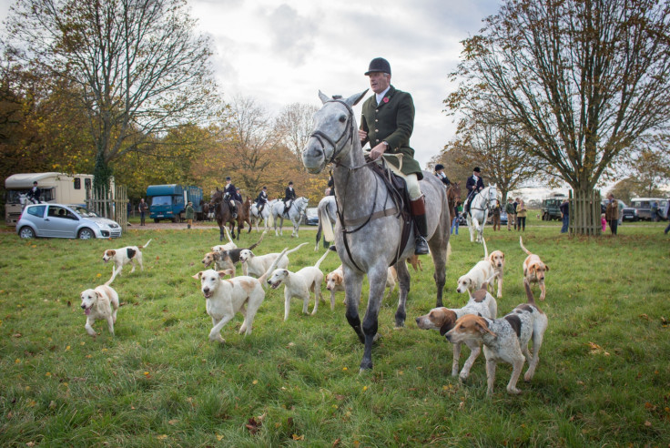 Hunting with dogs