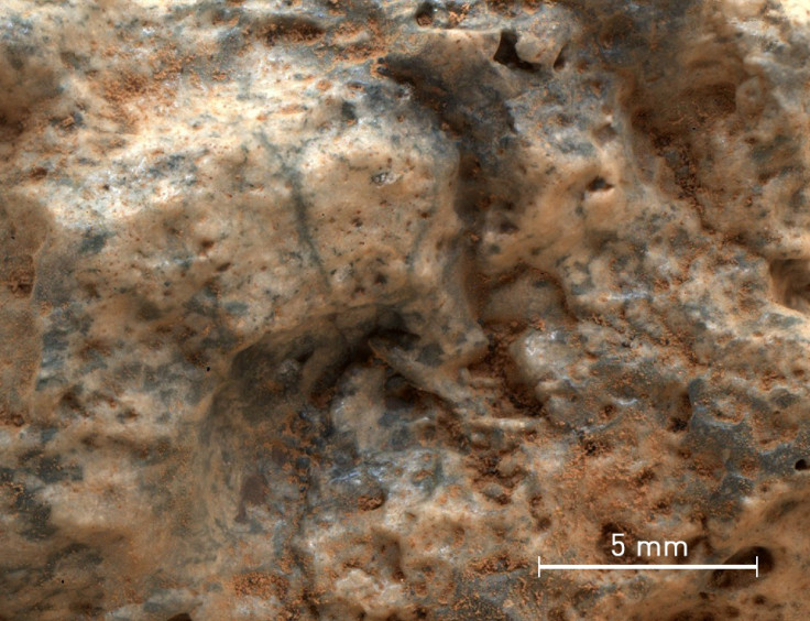 continental crust on Mars