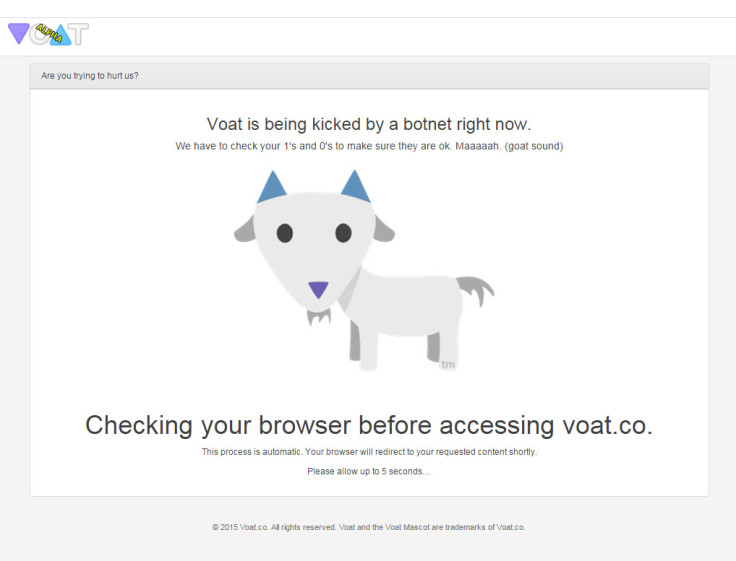 Voat down from botnet attack sign