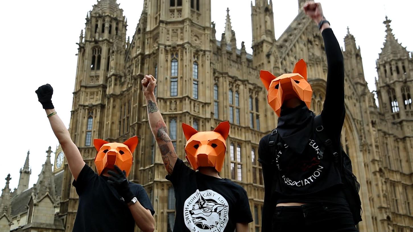 Fox hunting ban: Hundreds celebrate outside parliament as 