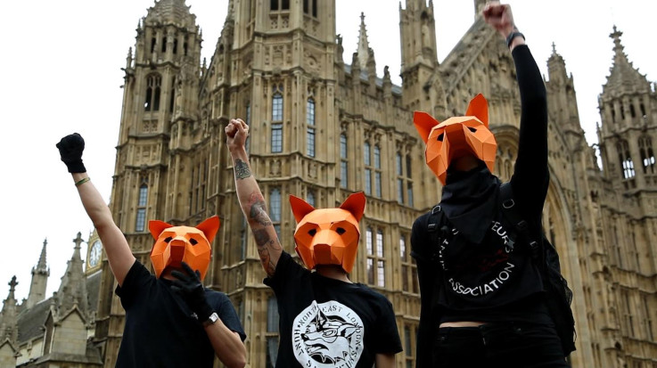 Fox hunting protesters