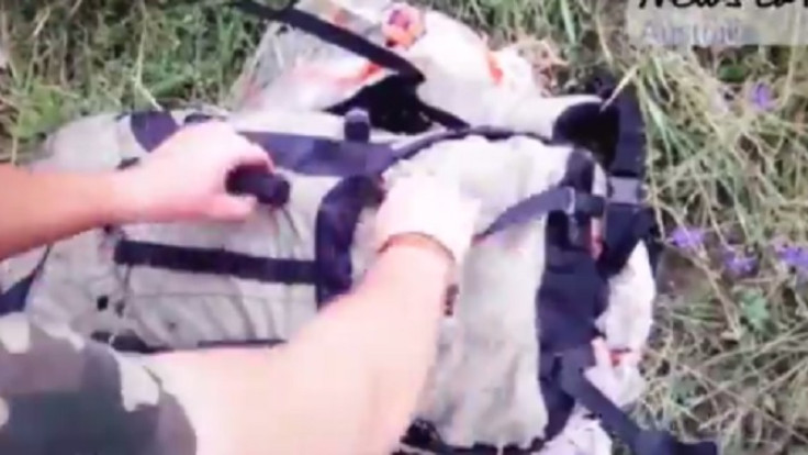 MH17 new footage