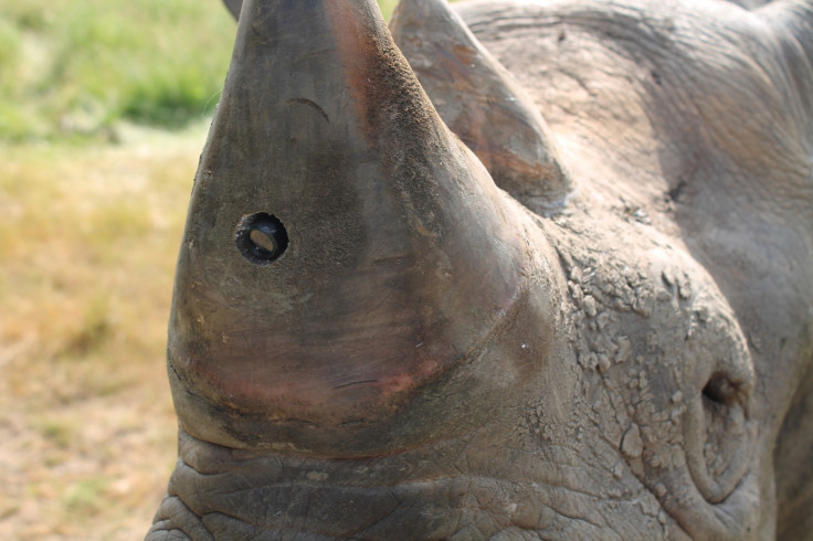 anti poaching device rhino