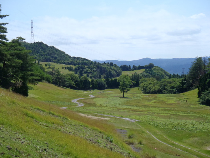 Kyoto Solar Farm Site