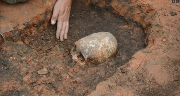 skull skull