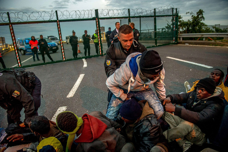 Calais migrants