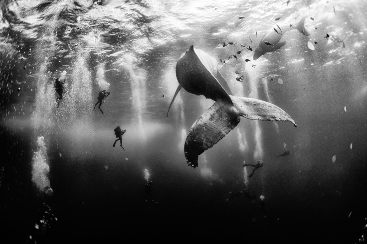 National Geographic Traveler Photo Contest