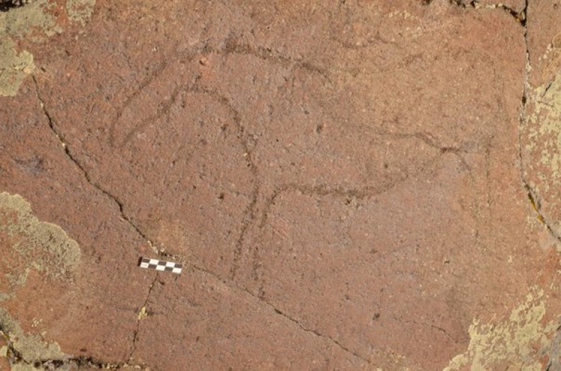 10,000-year-old Palaeolithic petroglyphs