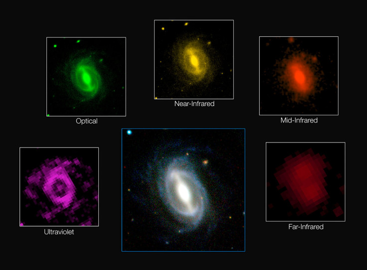 Galaxy Images from the GAMA