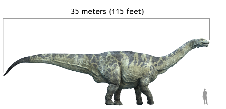 argentinosaurus