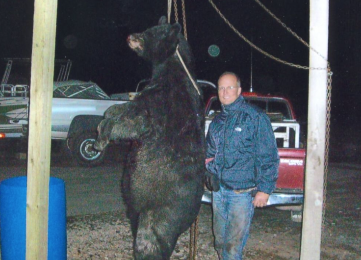 Walter Palmer black bear