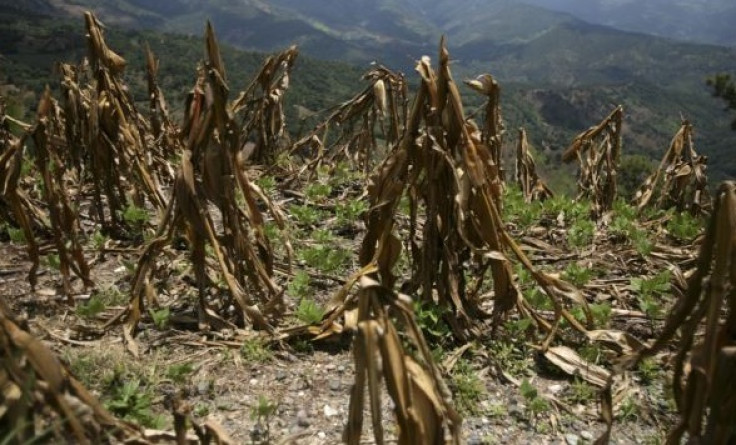 Guatemalan drought