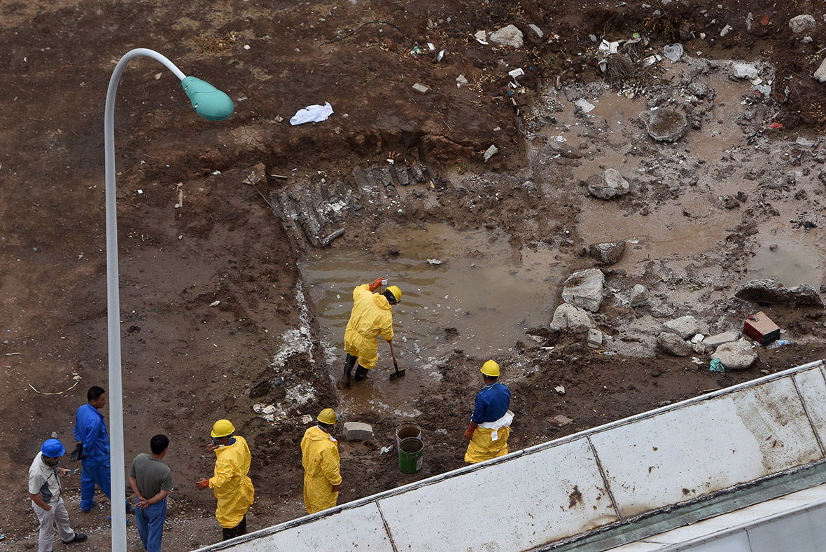 Tianjin explosion dead fish cyanide