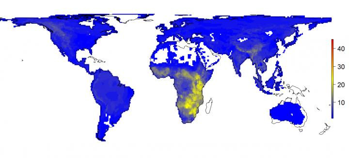 animal map