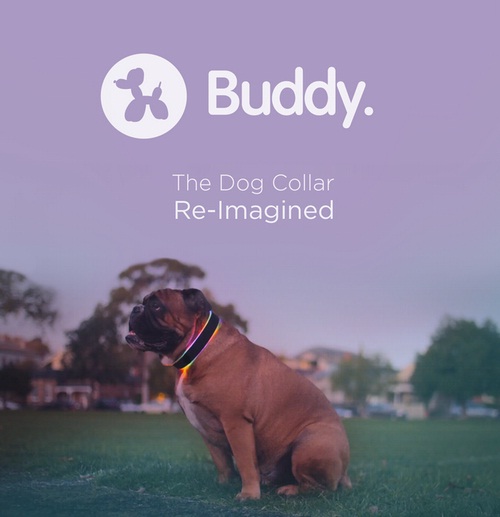 Fitbit for outlet dogs uk