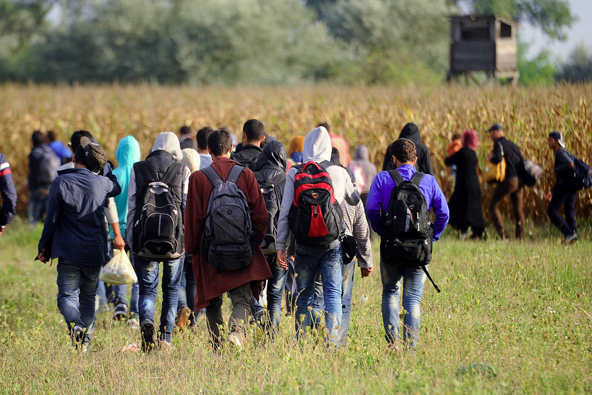 Migrants Hungary EU fence