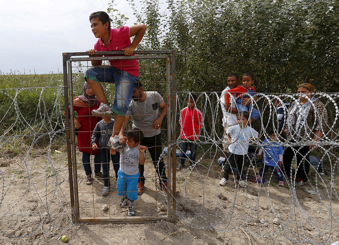 Migrants Hungary EU fence