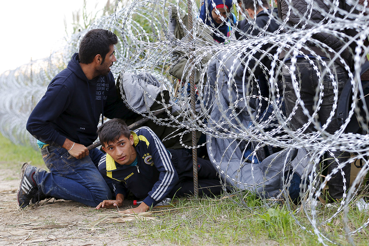 Migrants Hungary EU fence